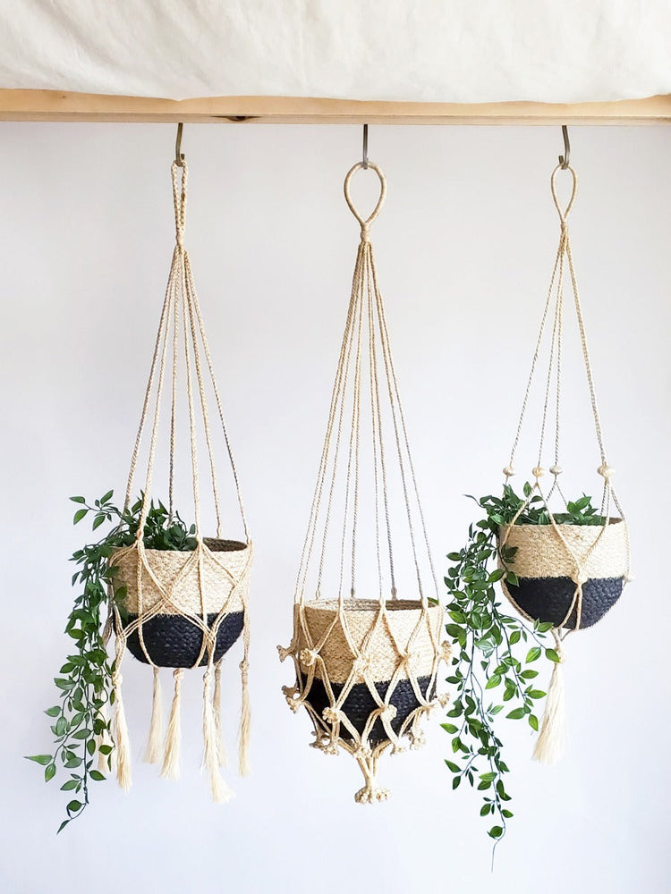 
                      
                        Plant Hanger, Nadu
                      
                    
