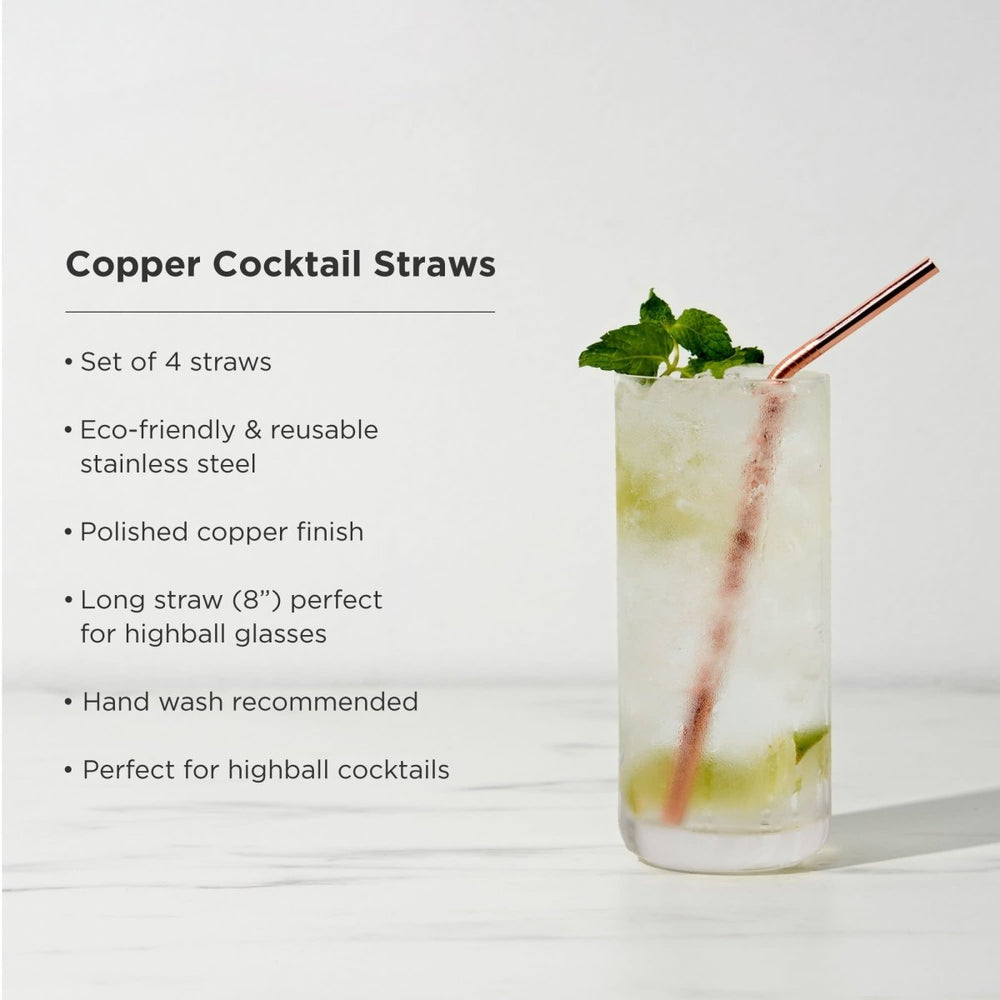 
                      
                        Viski Summit Cocktail Straws, Set of 4 - lily & onyx
                      
                    