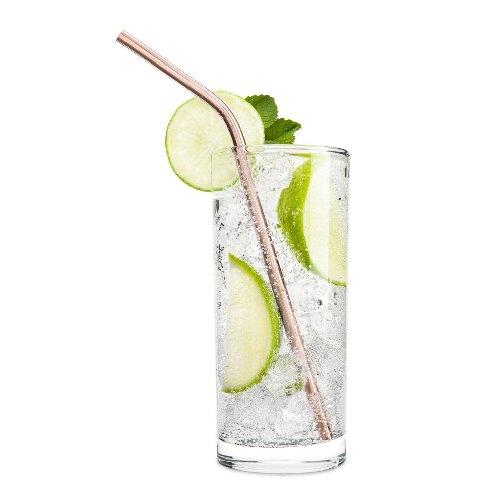 
                      
                        Viski Summit Cocktail Straws, Set of 4 - lily & onyx
                      
                    