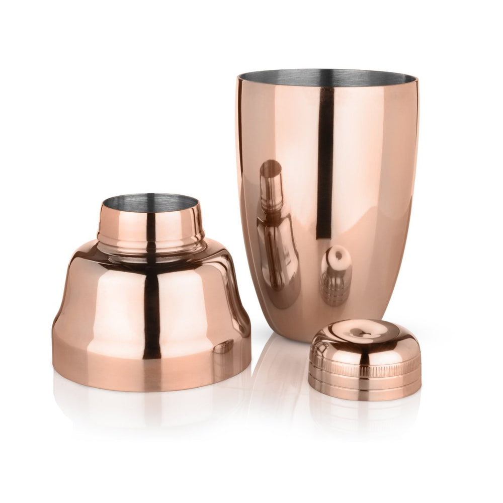 
                      
                        Viski Summit Heavyweight Cocktail Shaker - lily & onyx
                      
                    
