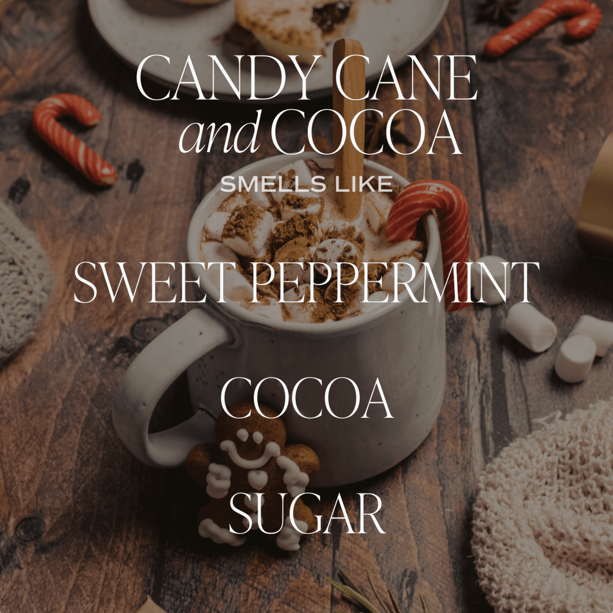 Sweet Water Decor Candy Cane and Cocoa Soy Candle - Red Matte Jar - 15 oz (Hot Cocoa and Peppermint)
