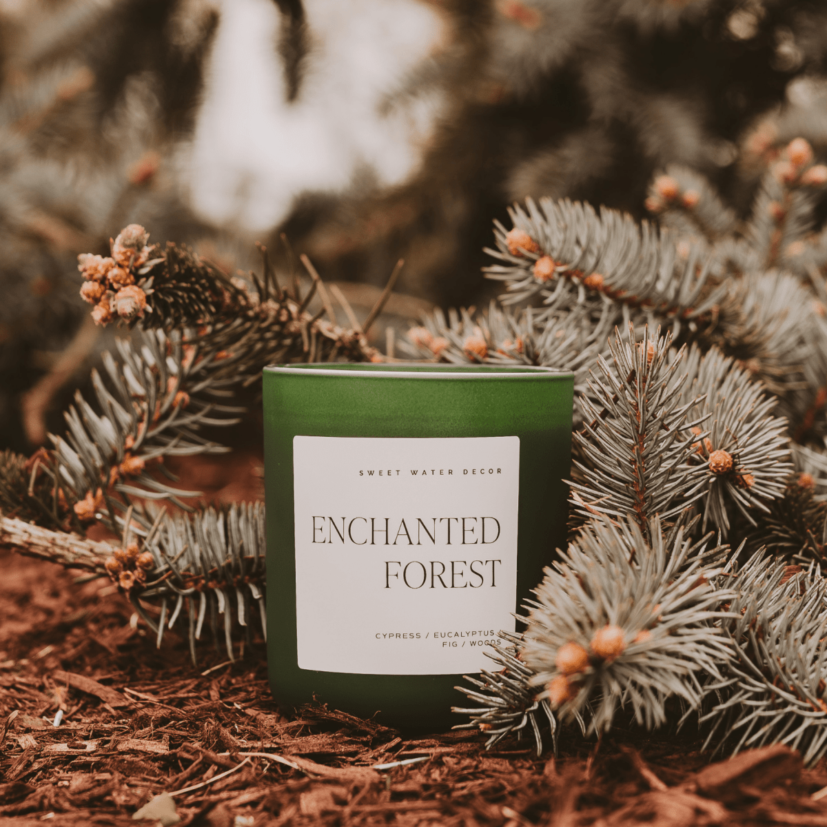 Sweet Water Decor Enchanted Forest Soy Candle - Green Matte Jar - 15 oz