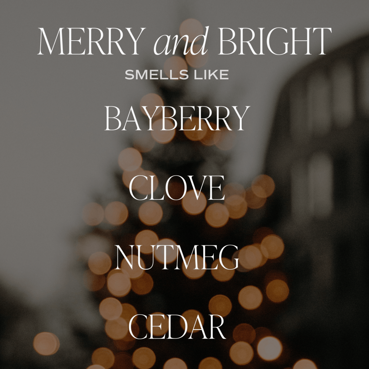 Sweet Water Decor Merry and Bright Soy Candle | 9oz. Clear Jar