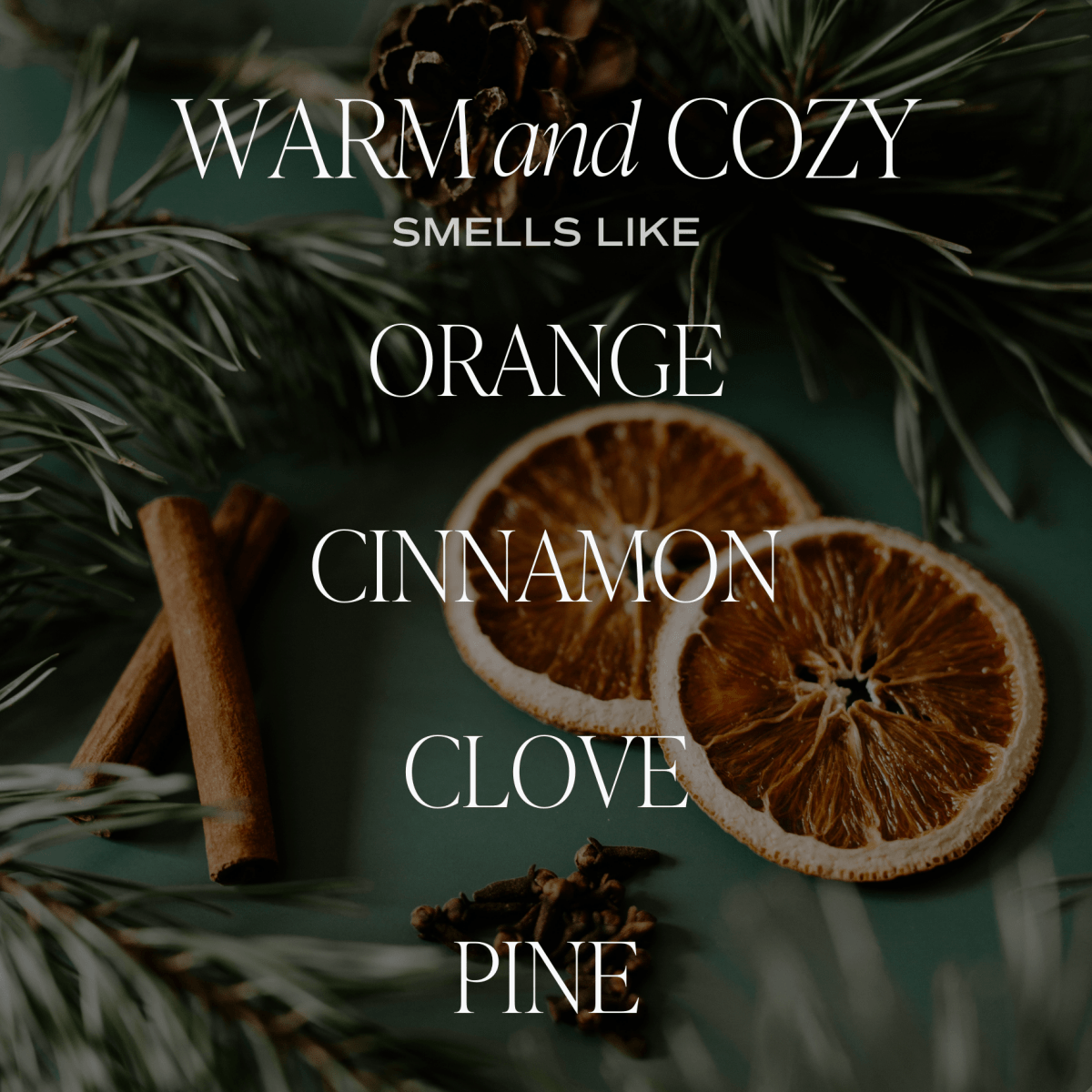 Sweet Water Decor Pine Cinnamon Orange Soy Candle - 9oz Natural Essential Oil Blend