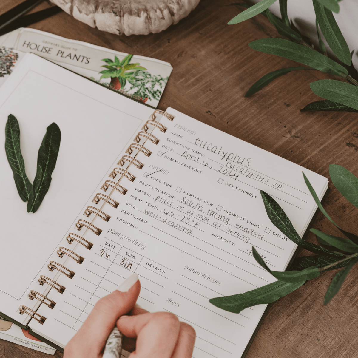 Sweet Water Decor Plant Journal – Hardcover Garden & Growth Tracker with Prompt Pages