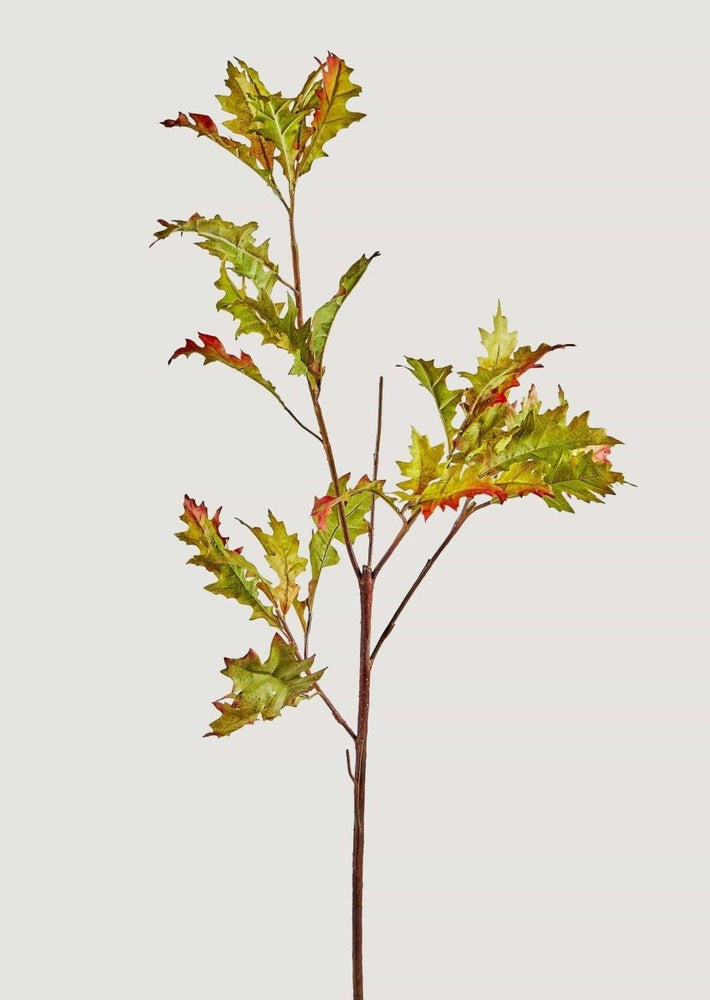 
                      
                        Afloral Tall Artificial Oak Leaf Branch - 43.25" - lily & onyx
                      
                    