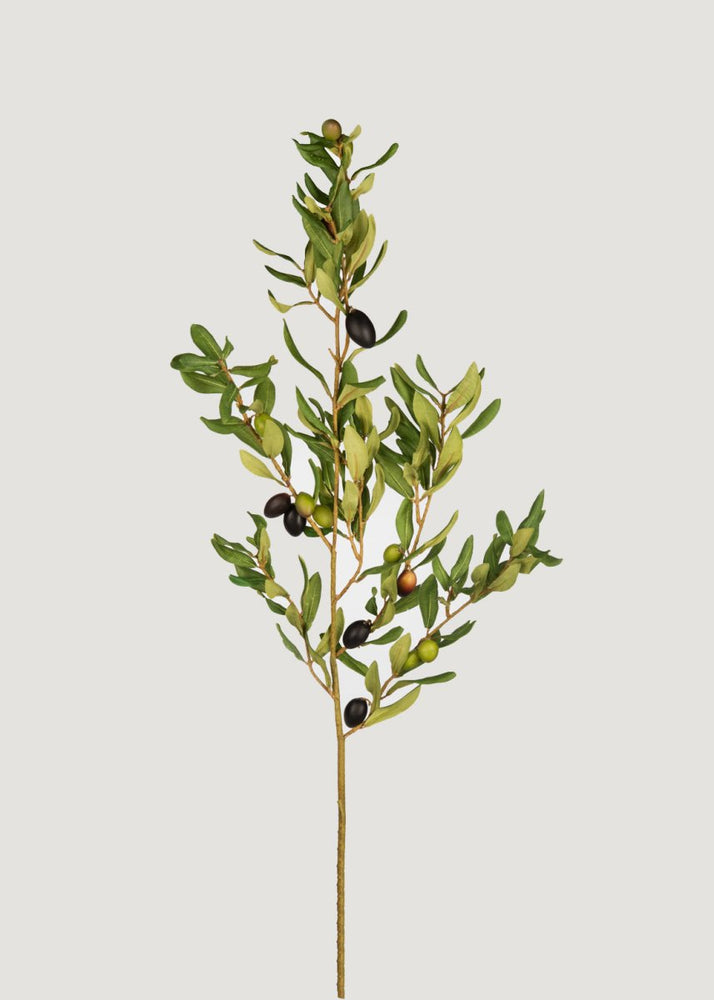 
                      
                        Afloral Tall Artificial Olive Branch, 46" - lily & onyx
                      
                    