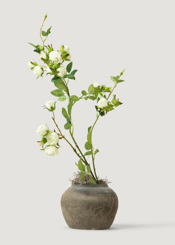 
                      
                        Afloral Tall Artificial Rose Branch in Cream White - 44" - lily & onyx
                      
                    