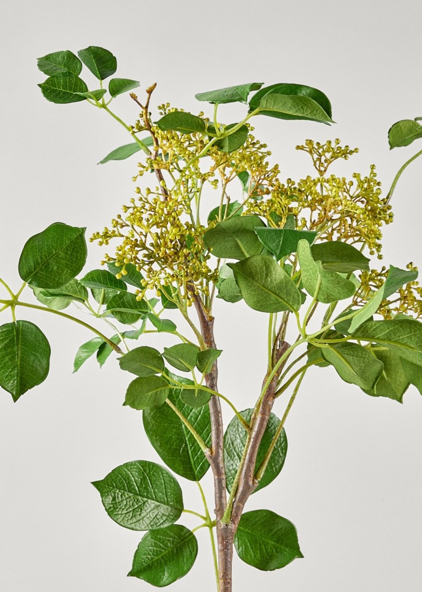 Afloral Tall Artificial Seeded Privet Branch, 46" - lily & onyx