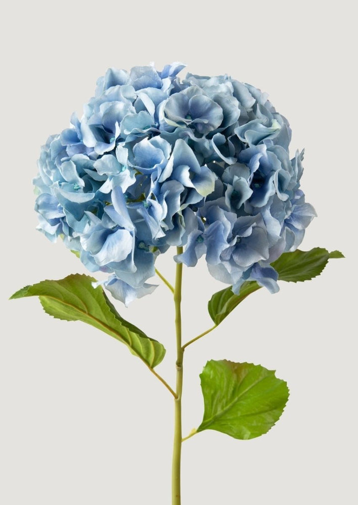 
                      
                        Afloral Tall Powder Blue Faux Hydrangea Flower - 45" - lily & onyx
                      
                    