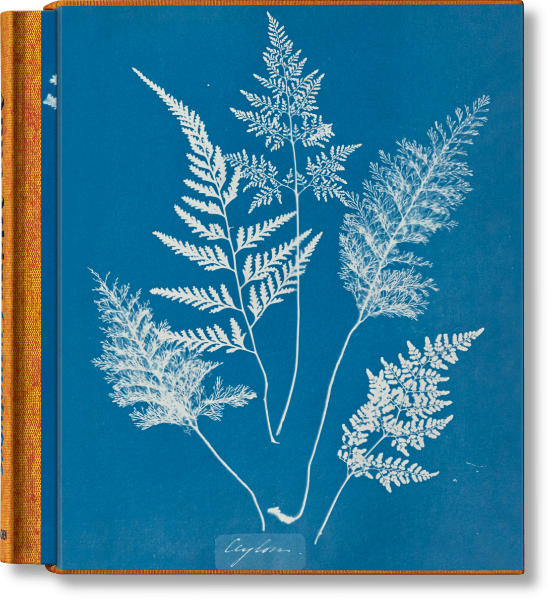 TASCHEN Anna Atkins. Cyanotypes (German, French, English) (FFE)