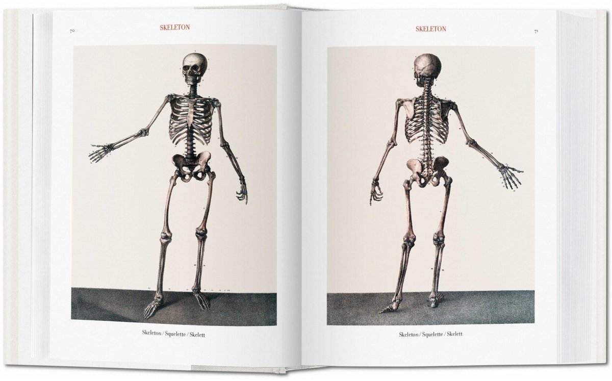TASCHEN Bourgery. Atlas of Human Anatomy and Surgery (German, French, English)
