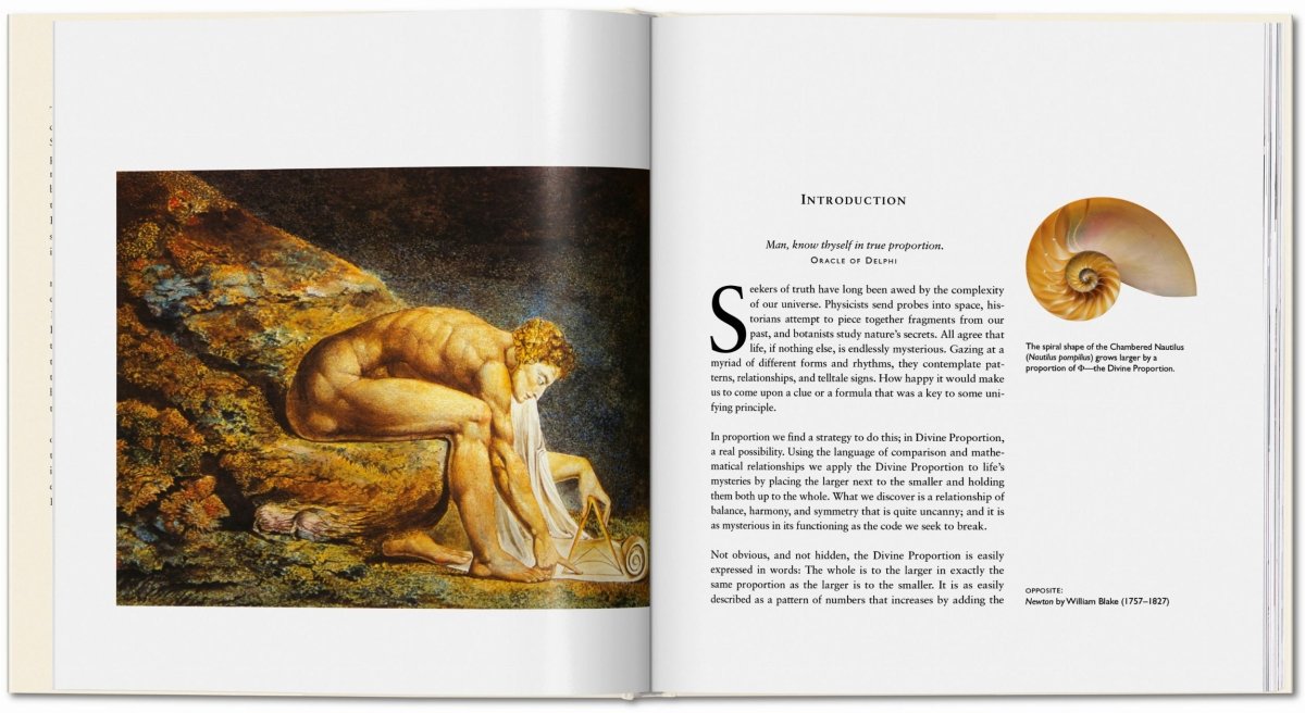 TASCHEN El Código Secreto (Spanish)