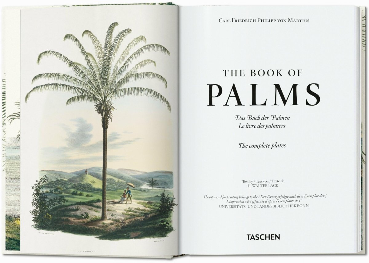 TASCHEN Martius. The Book of Palms. 40th Ed. (German, French, English)