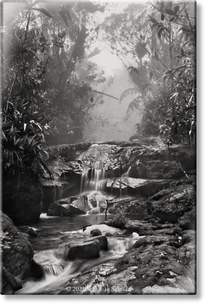 TASCHEN Salgado. Amazônia. Magnet ‘Creek’