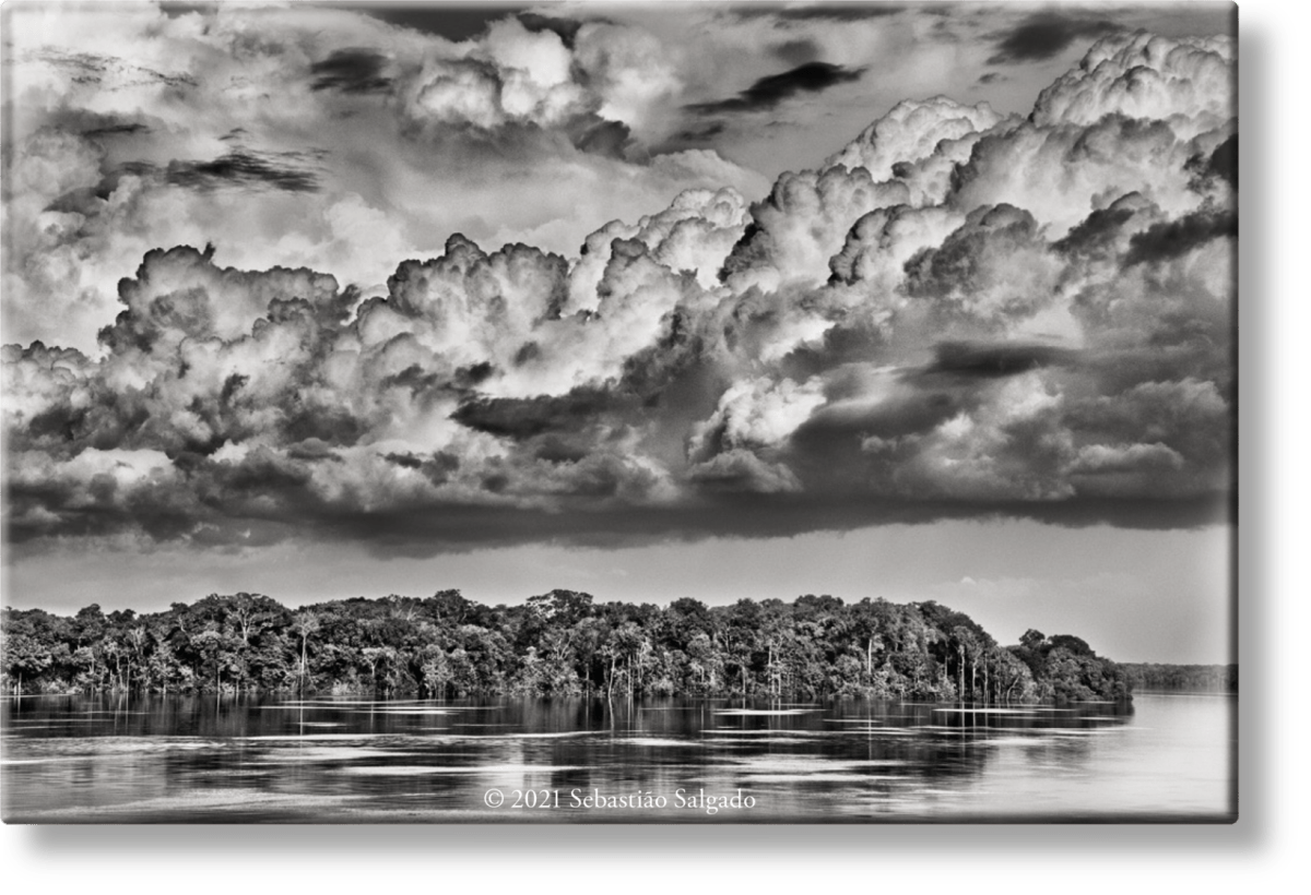 TASCHEN Sebastião Salgado. Amazônia. Magnet ‘Parana’
