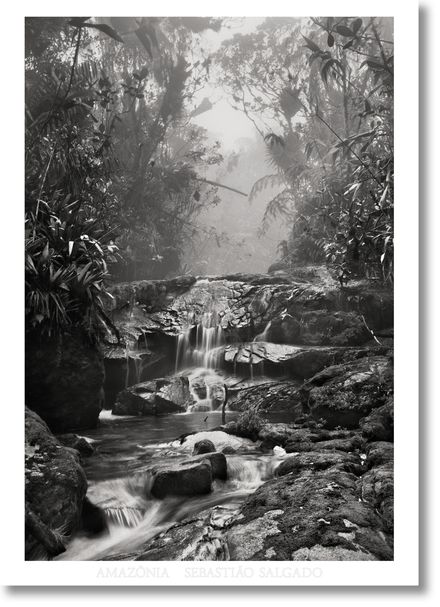 TASCHEN Sebastião Salgado. Amazônia. Poster ‘Creek’