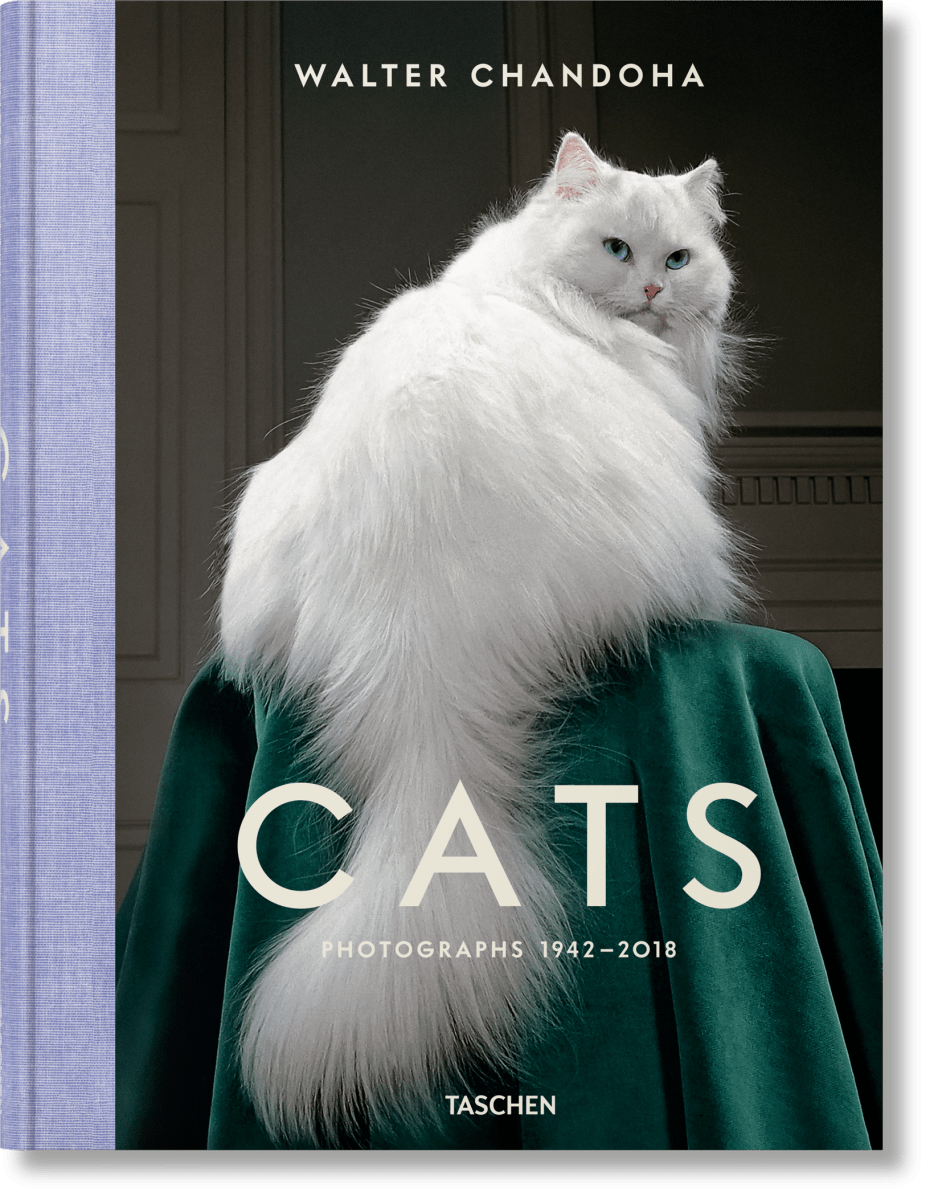 TASCHEN Walter Chandoha. Cats. Photographs 1942–2018 (German, French, English)