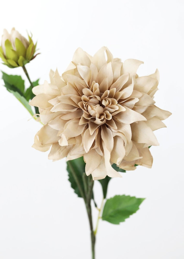 
                      
                        Afloral Taupe Artificial Dahlia Flower - 19.5" - lily & onyx
                      
                    