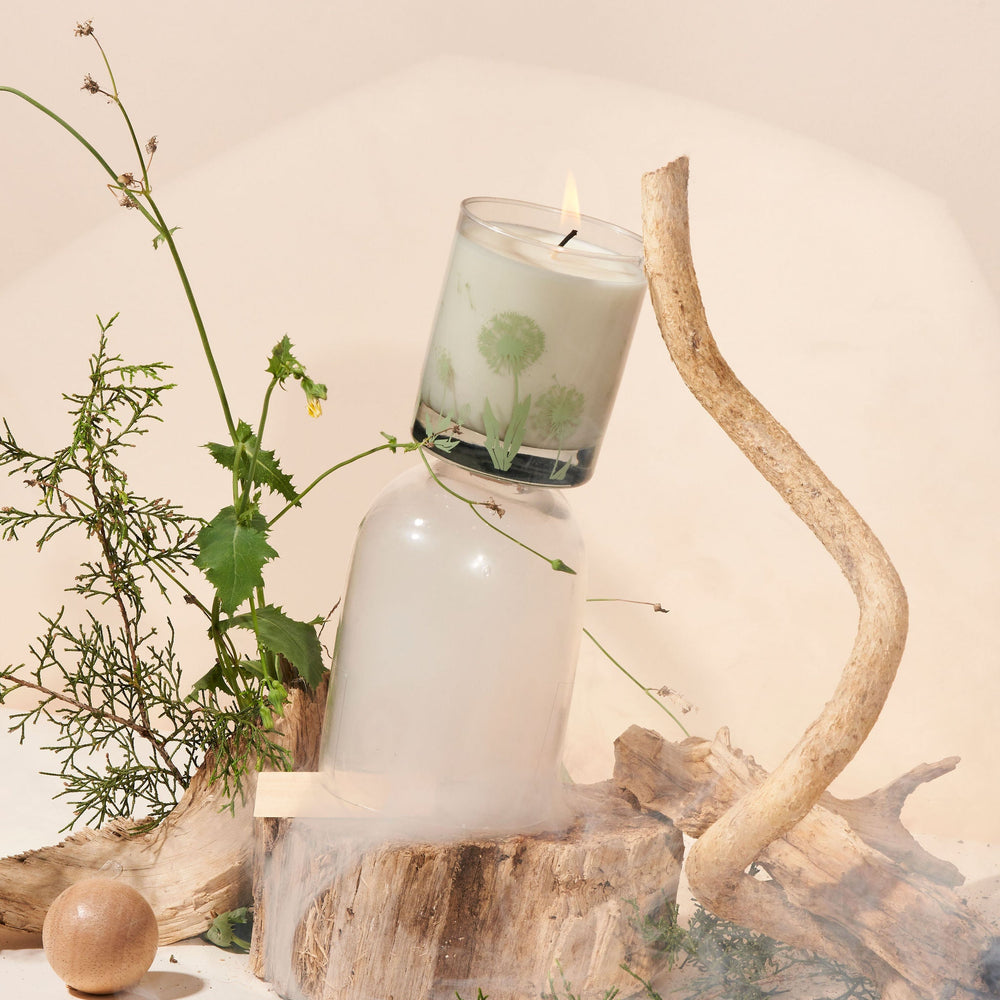 Teak Fragrance