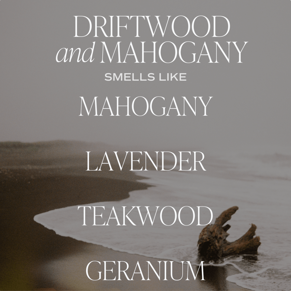 Sweet Water Decor Teakwood and Mahogany Amber Reed Diffuser - lily & onyx