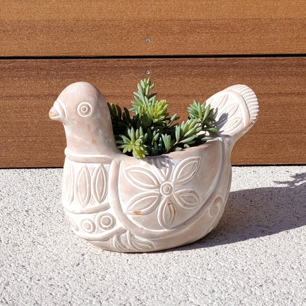 KORISSA Terracotta Pot - Spotted Dove - lily & onyx