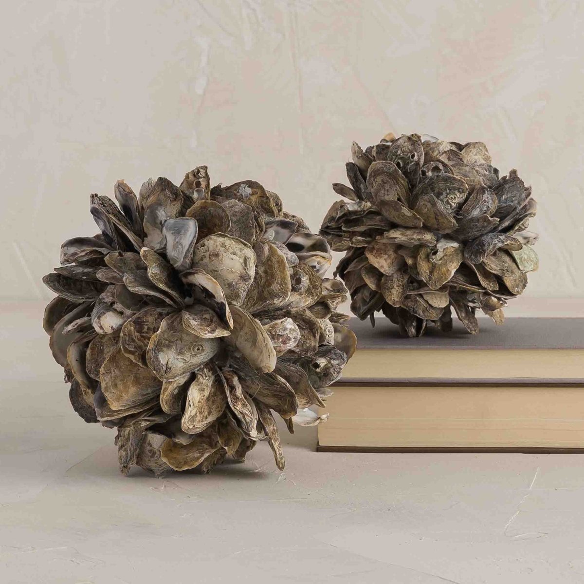 texxture Concha™ Oyster Shell Sphere Sculpture - Large Coastal Decor Accent