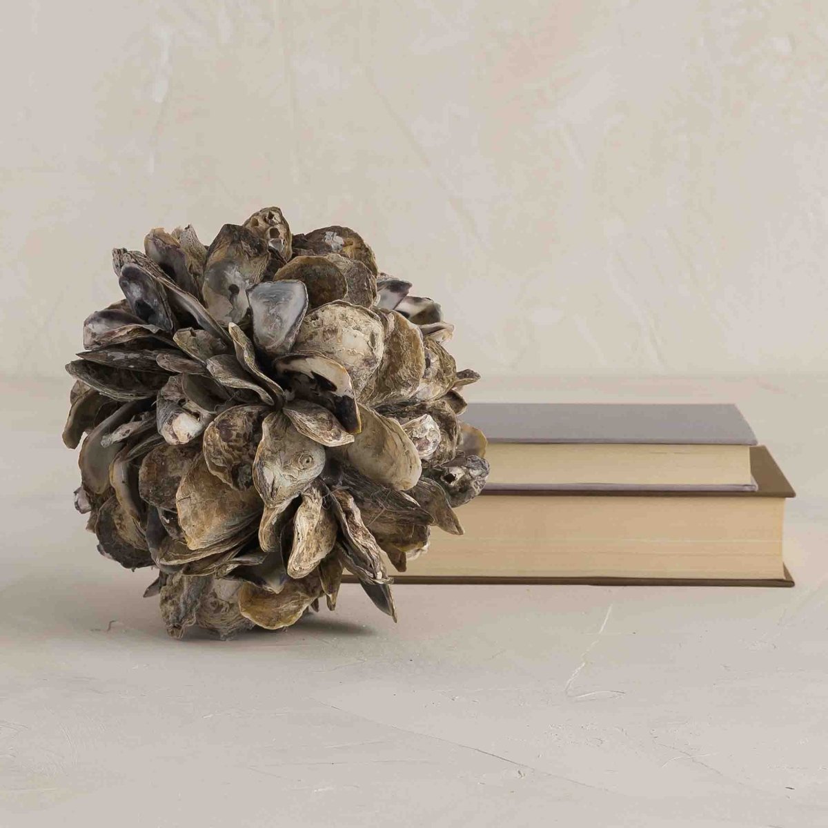 texxture Concha™ Oyster Shell Sphere Sculpture - Large Coastal Decor Accent