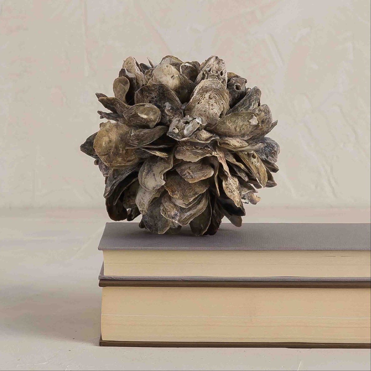 texxture Concha™ Oyster Shell Sphere Sculpture - Small Coastal Decor Accent