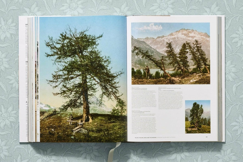 
                      
                        TASCHEN The Alps 1900. A Portrait in Color (German, French, English)
                      
                    
