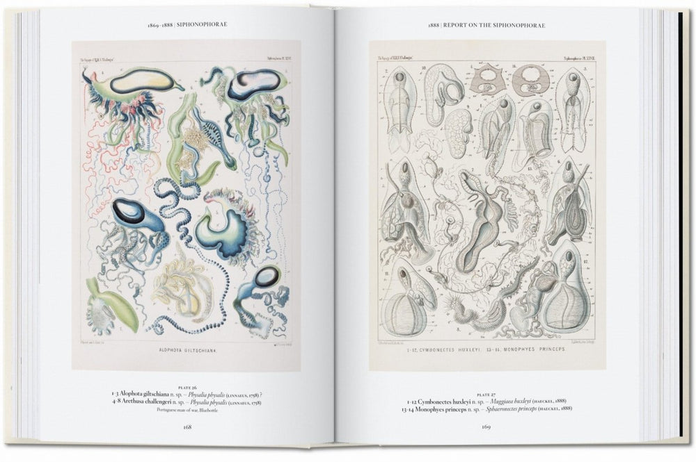 
                      
                        TASCHEN The Art and Science of Ernst Haeckel. 40th Ed. (English)
                      
                    