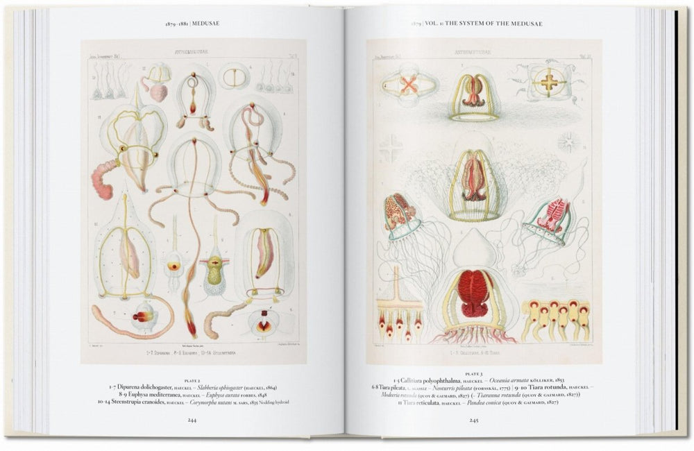 
                      
                        TASCHEN The Art and Science of Ernst Haeckel. 40th Ed. (English)
                      
                    