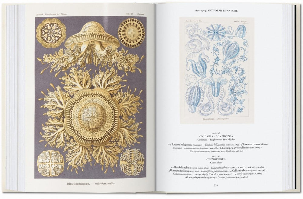 
                      
                        TASCHEN The Art and Science of Ernst Haeckel. 40th Ed. (English)
                      
                    