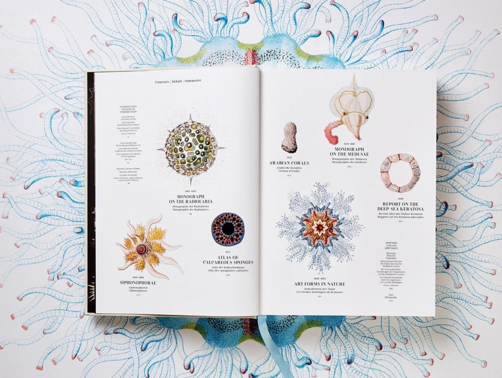 
                      
                        TASCHEN The Art and Science of Ernst Haeckel (German, French, English) - lily & onyx
                      
                    