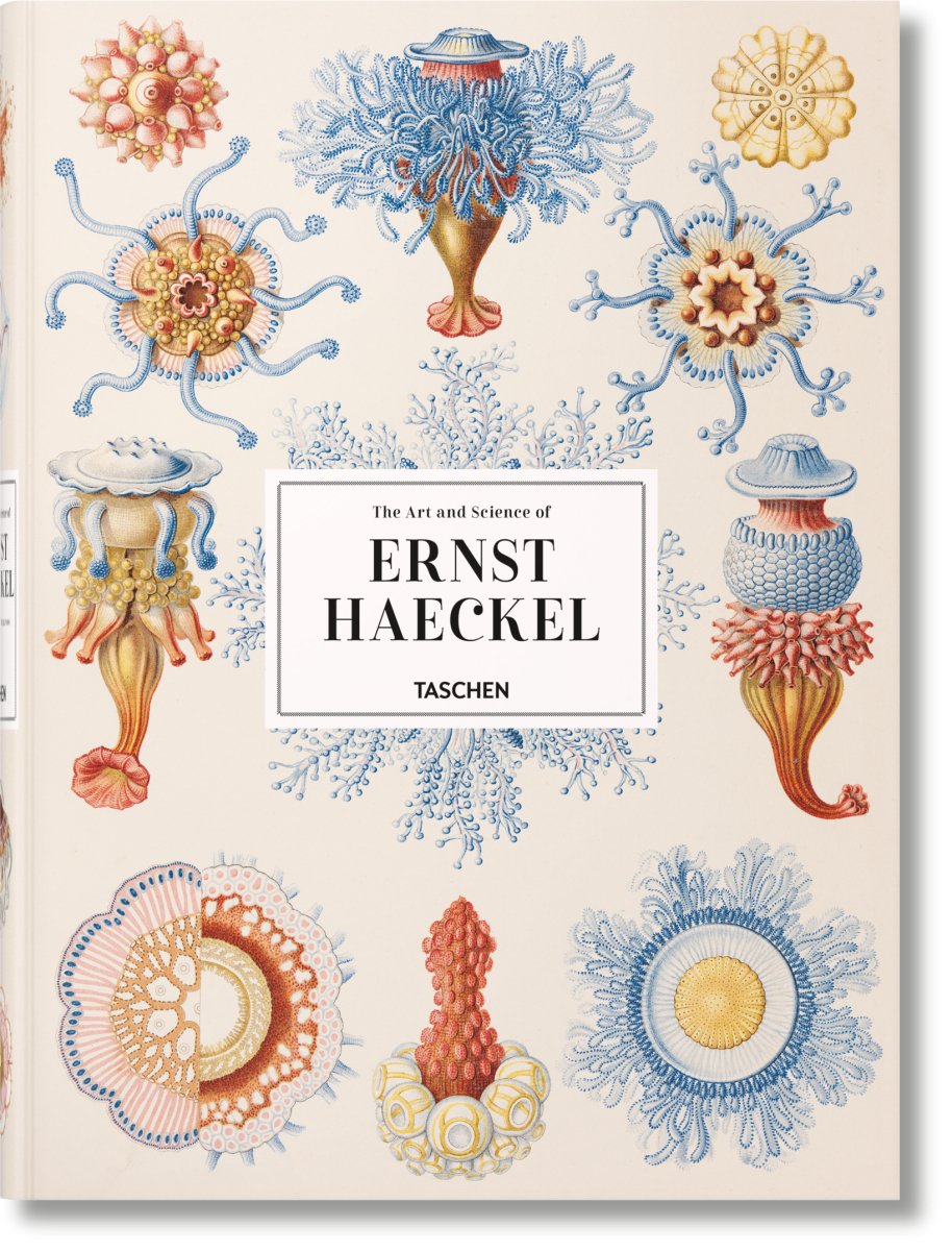 TASCHEN The Art and Science of Ernst Haeckel (German, French, English) - lily & onyx