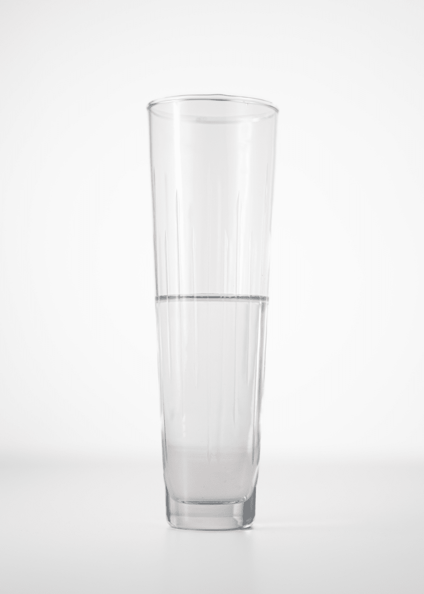 The Collective Hudson Hand - Etched Champagne Flutes, Set of 6 | Lead - Free Artisan Glassware