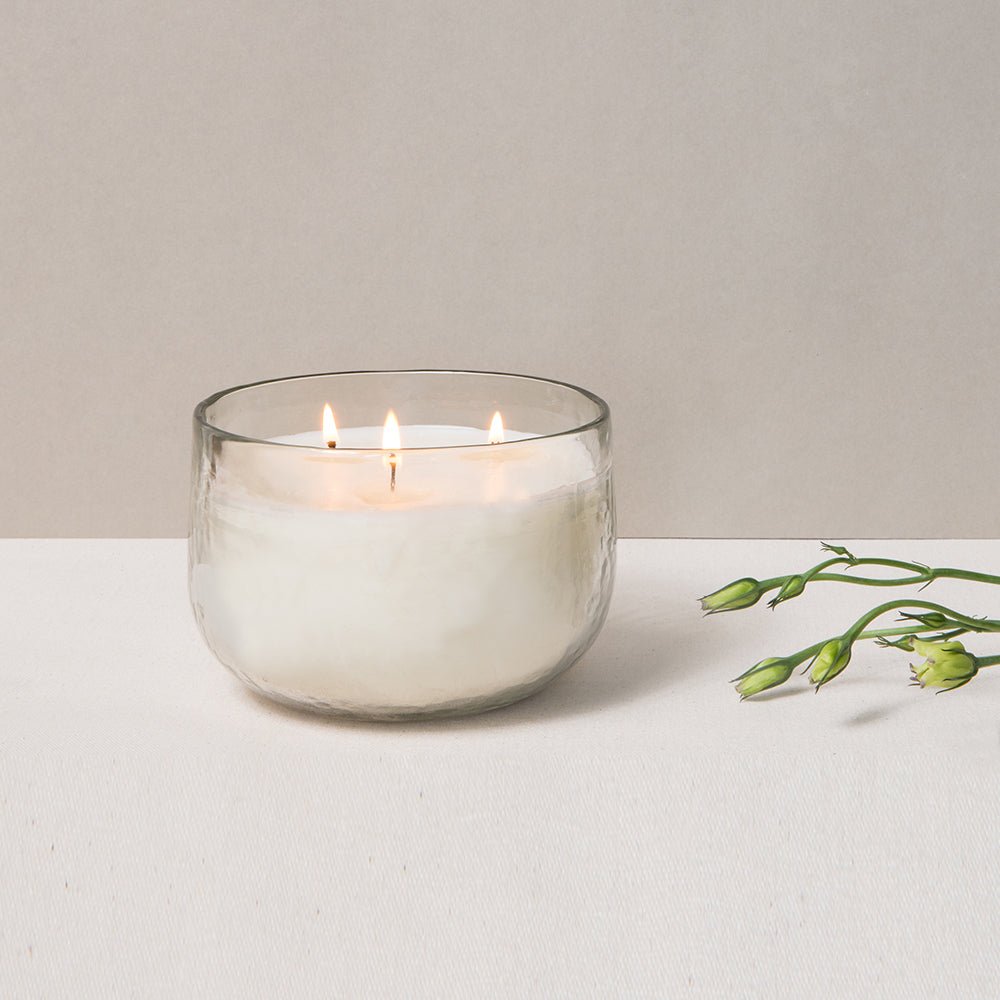 The Collective Pebbled Hand - Blown Triple - Wick Soy Candle Bowl | 35 oz Unscented Recycled Glass Candle