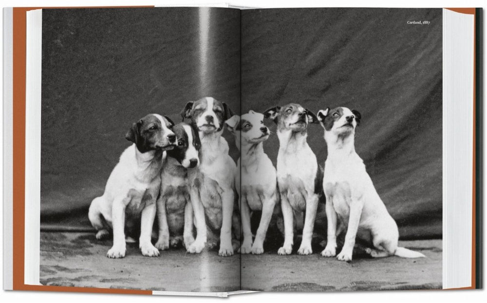 
                      
                        TASCHEN The Dog in Photography 1839–Today (German, French, English) - lily & onyx
                      
                    