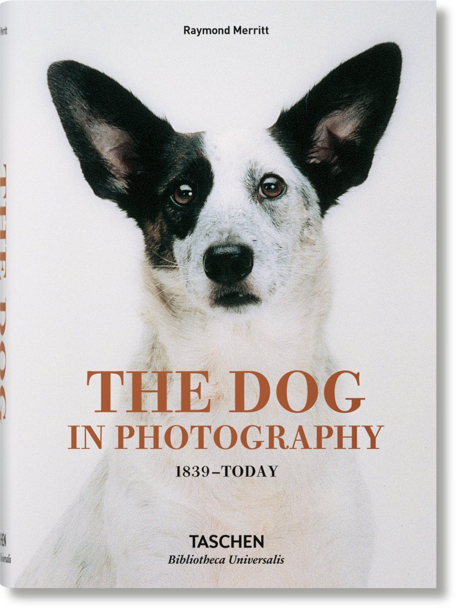 TASCHEN The Dog in Photography 1839–Today (German, French, English) - lily & onyx