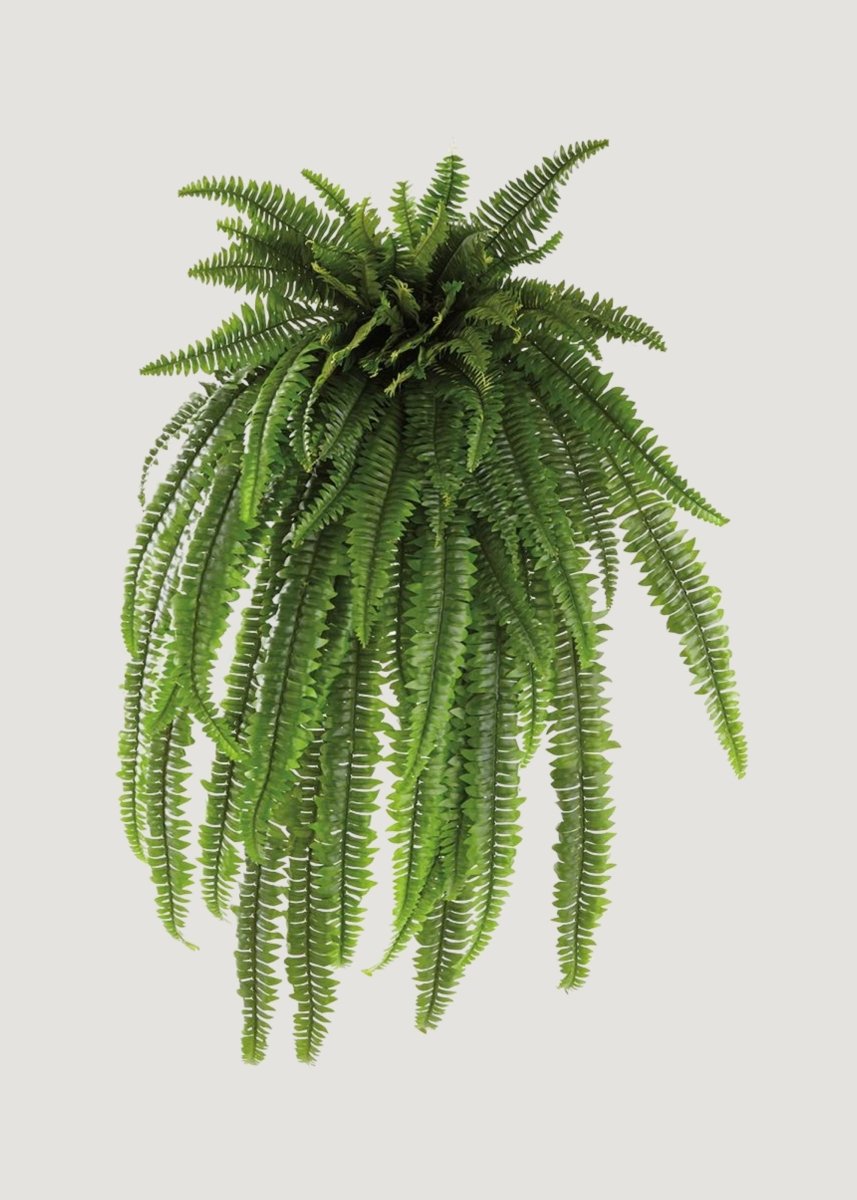 Afloral The Grand Dame Deluxe Artificial Estate Fake Fern - 52" - lily & onyx