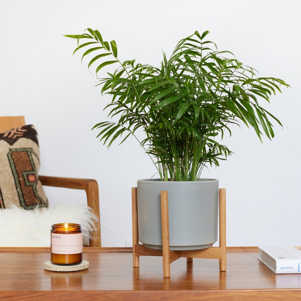 
                      
                        LBE Design The Six - Ceramic Cylinder with Stand - lily & onyx
                      
                    