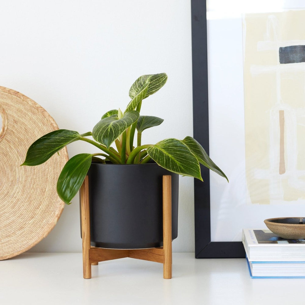
                      
                        LBE Design The Six - Ceramic Cylinder with Stand - lily & onyx
                      
                    