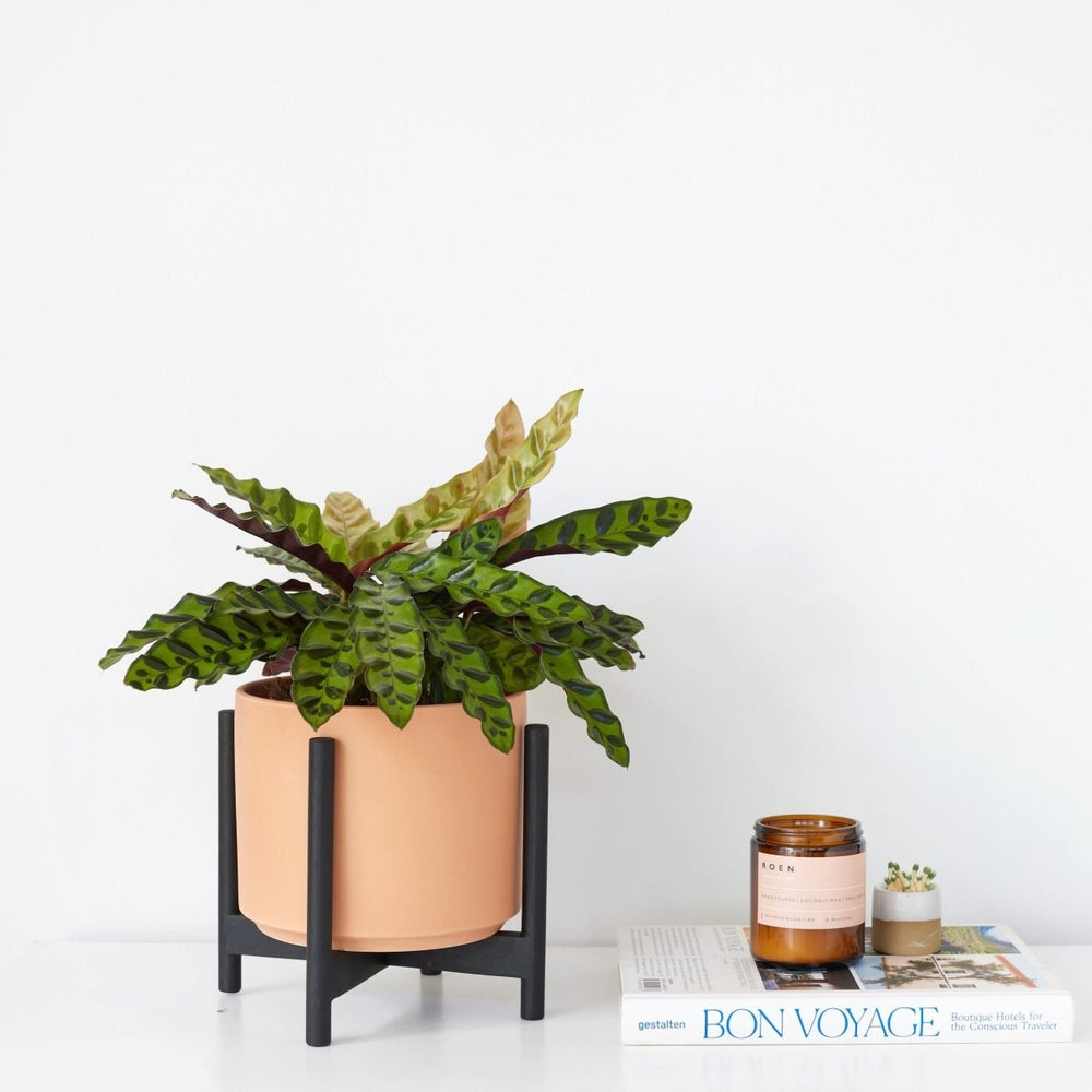 
                      
                        LBE Design The Six - Ceramic Cylinder with Stand - lily & onyx
                      
                    