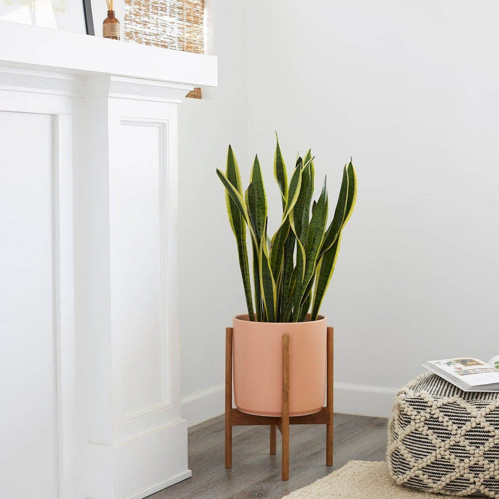 
                      
                        LBE Design The Ten - Ceramic Cylinder with Stand - lily & onyx
                      
                    