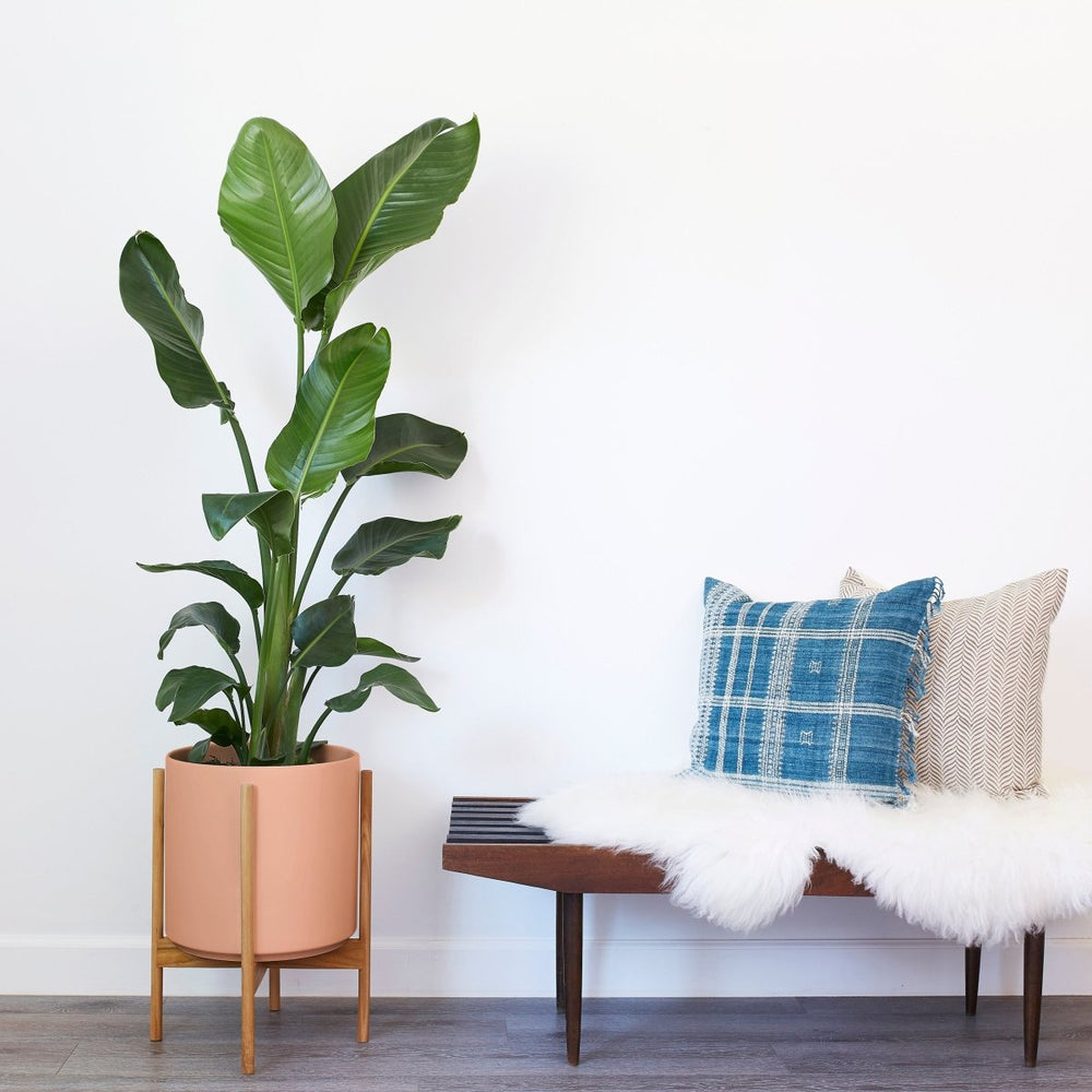 
                      
                        LBE Design The Twelve - Ceramic Cylinder with Stand - lily & onyx
                      
                    
