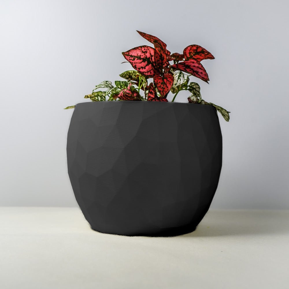 
                      
                        Rosebud HomeGoods The Voronoi Planter - lily & onyx
                      
                    