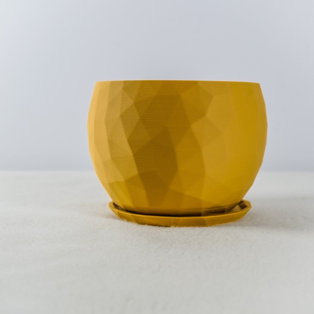 
                      
                        The Voronoi Planter
                      
                    