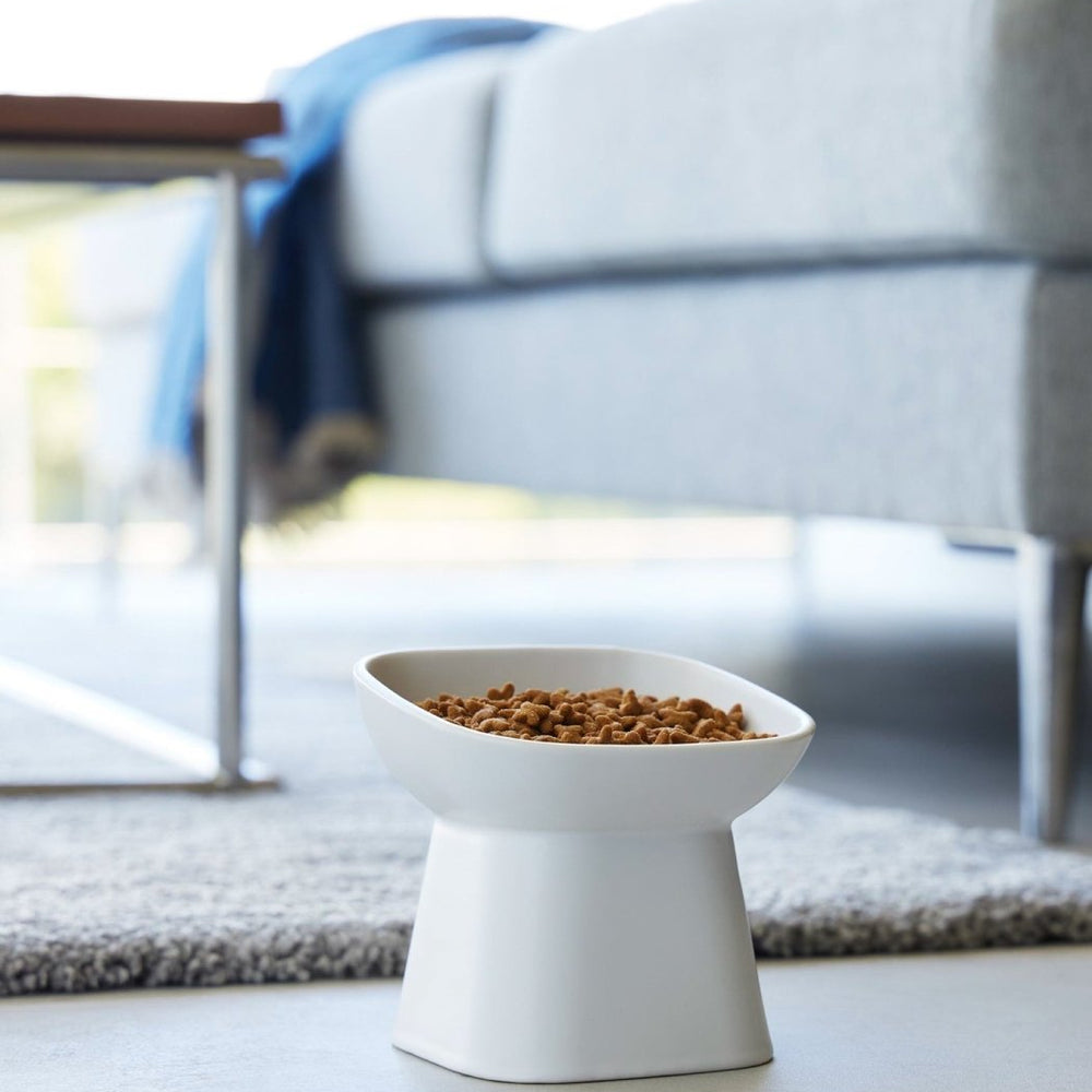 
                      
                        Yamazaki Home Tilted Raised Ceramic Pet Food Bowl - lily & onyx
                      
                    