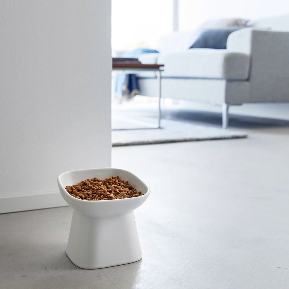 
                      
                        Yamazaki Home Tilted Raised Ceramic Pet Food Bowl - lily & onyx
                      
                    
