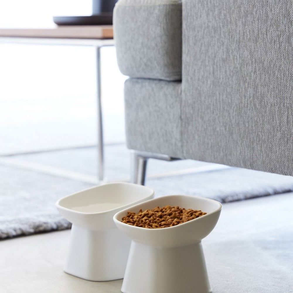 
                      
                        Yamazaki Home Tilted Raised Ceramic Pet Food Bowl - lily & onyx
                      
                    